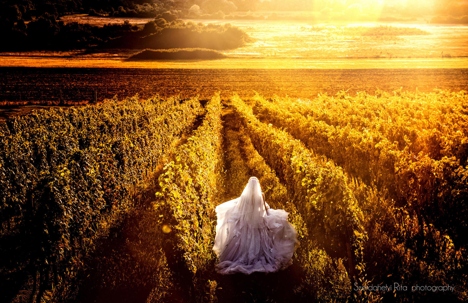 Egy nagy nap pillanatai